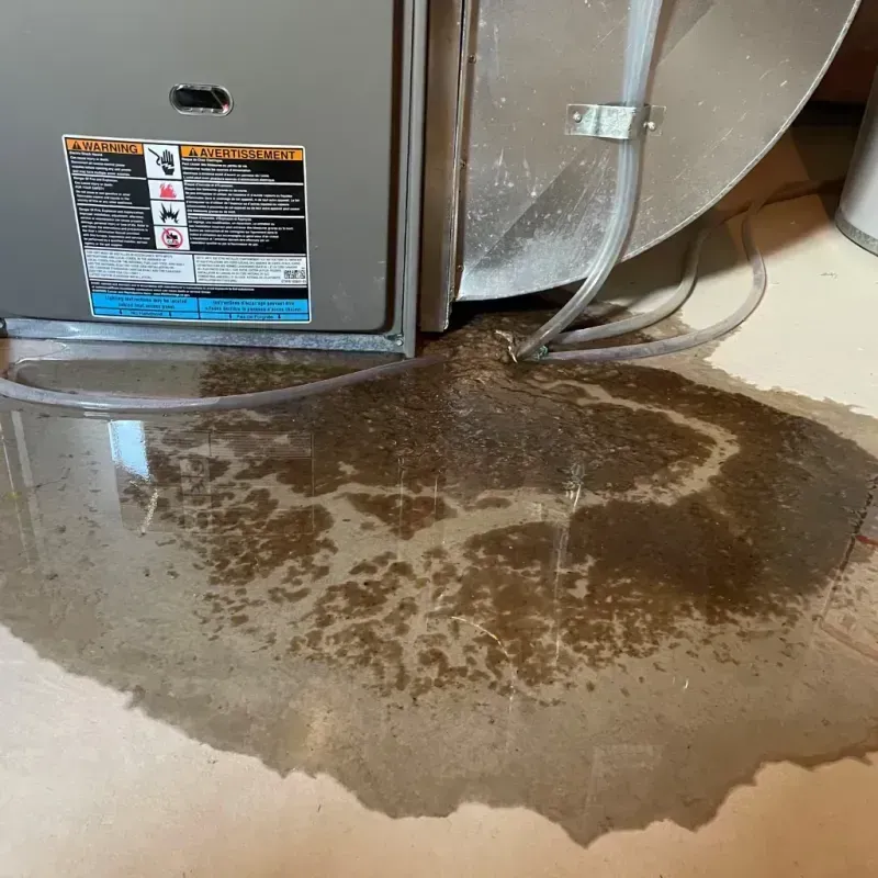 Appliance Leak Cleanup in Suamico, WI